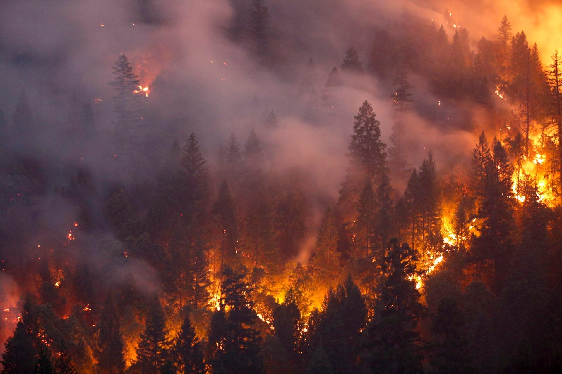 Nell'Ovest americano il 42% degli incendi si sviluppa durante le ondate di calore