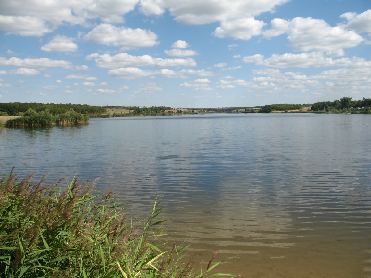 Con i laghi che diventano più scuri, cambiano le popolazioni di pesci