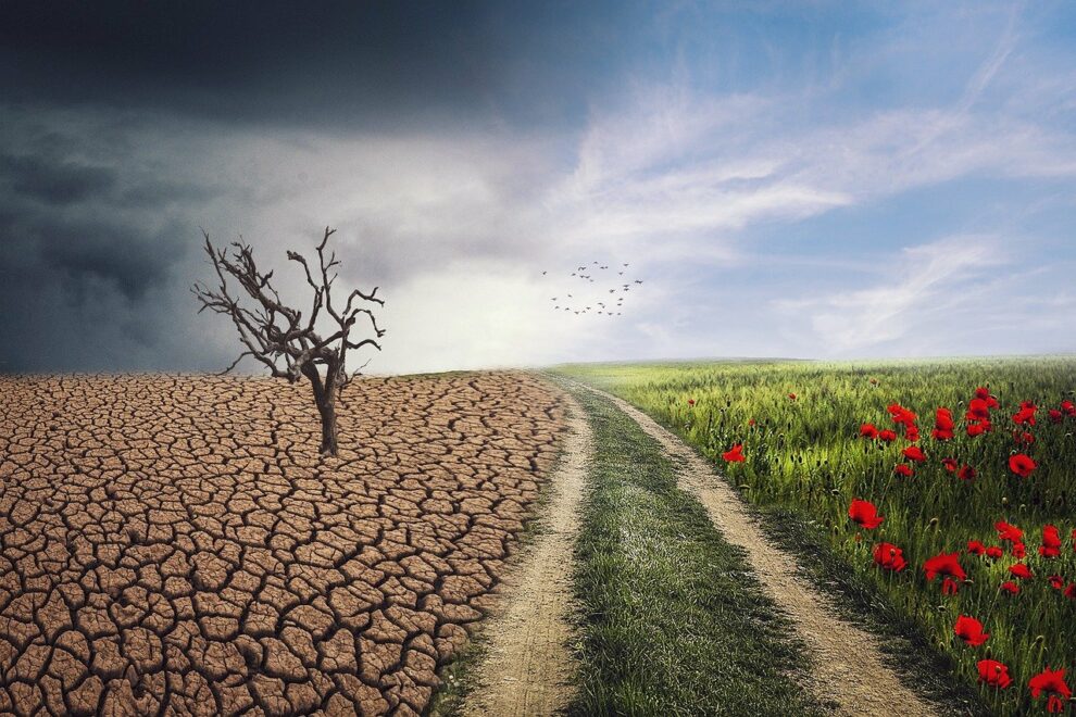 L'Organizzazione Meteorologica Mondiale avverte: El Niño si sta rafforzando rapidamente