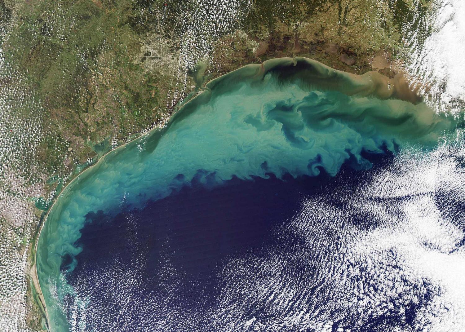La "zona morta" del Golfo del Messico nel 2026 è tra le più piccole mai misurate