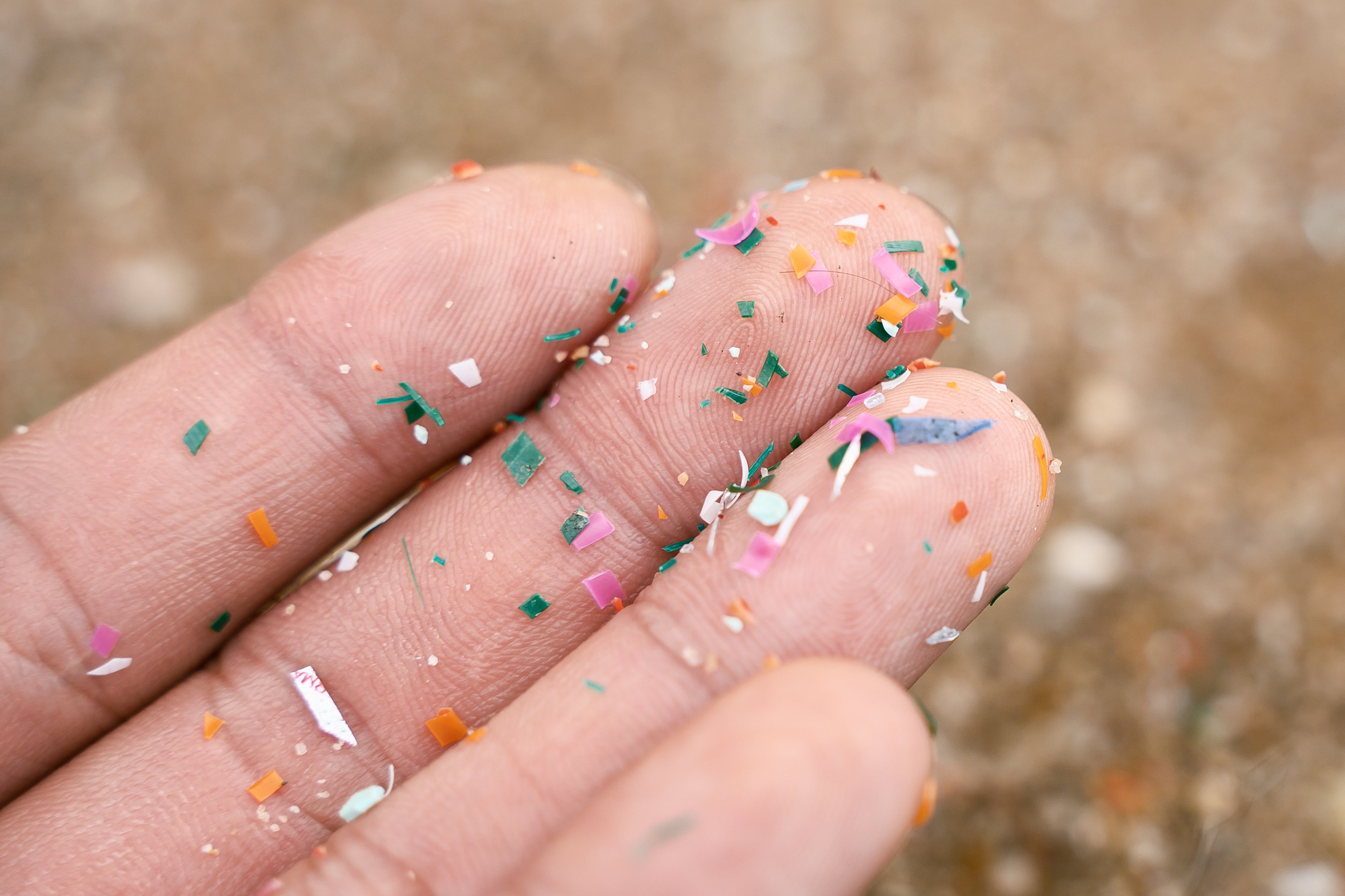 Le microplastiche nel sistema nervoso aprono una nuova pista di ricerca sulla SLA