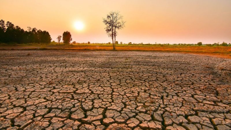 El Niño in arrivo, Goldman Sachs e HSBC stimano materie prime alimentari a +15%