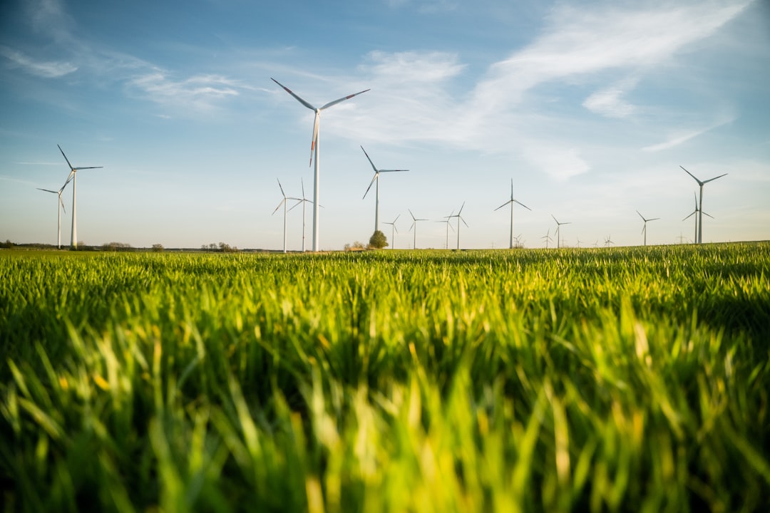 La green economy vale 10 trilioni di dollari