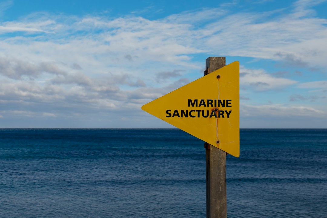 Solo il 2% degli oceani è davvero protetto, non il 10% dichiarato
