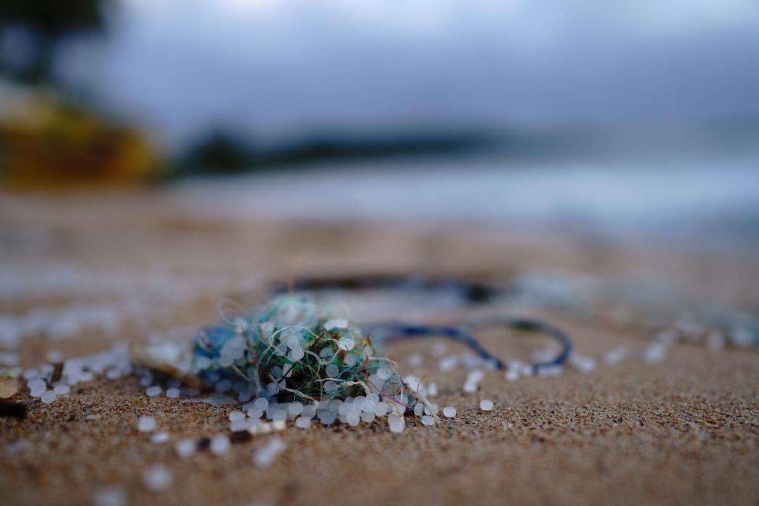 Microplastiche nel Tamigi: al via una ricerca per capire quanto è inquinato il fiume londinese