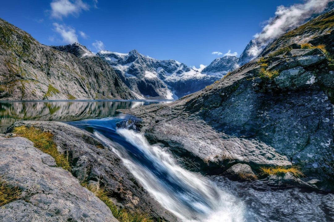 Nuova Zelanda, un milione di anni fa: un ecosistema in evoluzione prima dell’arrivo dell'uomo