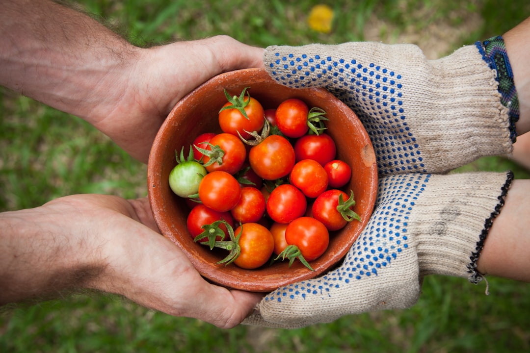 Quanto spazio avrà l'agricoltura biologica nella nuova politica agricola comune?