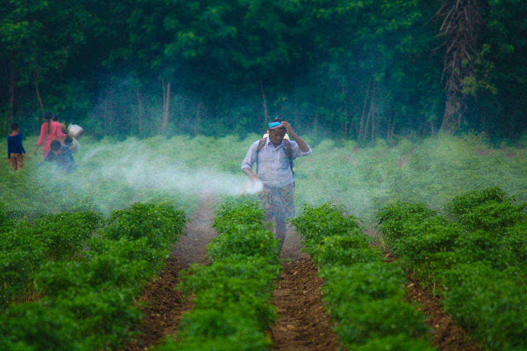 Pesticidi e DNA: il pericolo silenzioso che ignoriamo ogni giorno