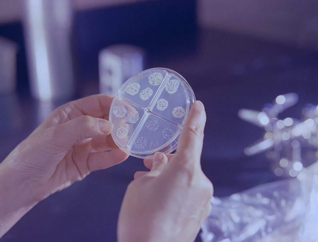 Suoli degradati, secondo una produttrice di probiotici servono più microbi