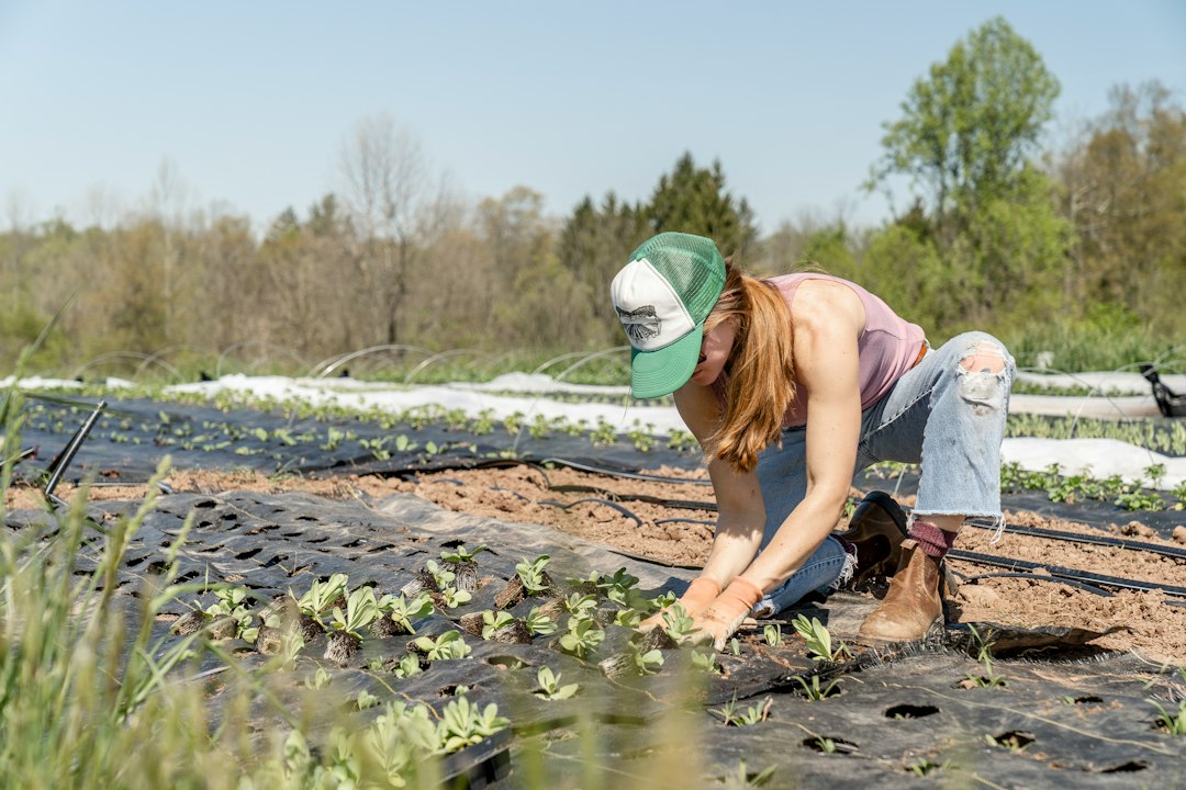 Agricoltura rigenerativa, lo studio su 200 aziende rileva quasi il 40% di carbonio in più nel suolo