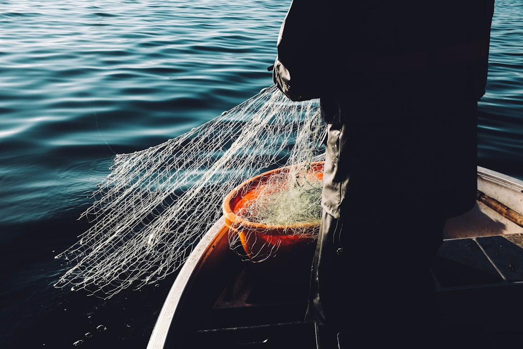 Quanti animali protetti muoiono nelle reti da pesca?