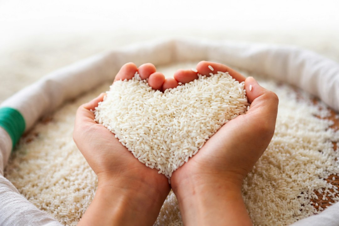 Brusone, modificati i recettori immunitari dei cereali per riconoscere il fungo