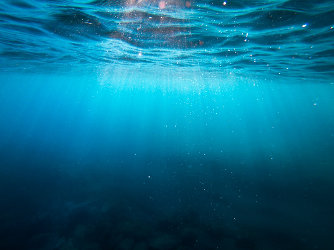 Il cambiamento climatico ha causato temperature marine record in Europa