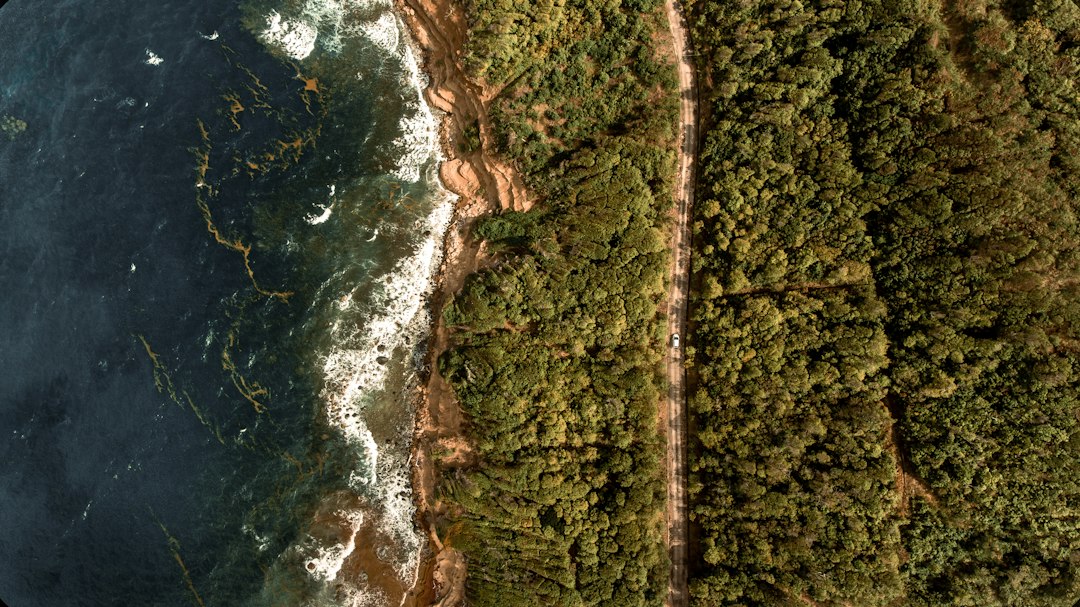 Mari in aumento, per l'ONU le isole restano Stati anche se perdono la terra