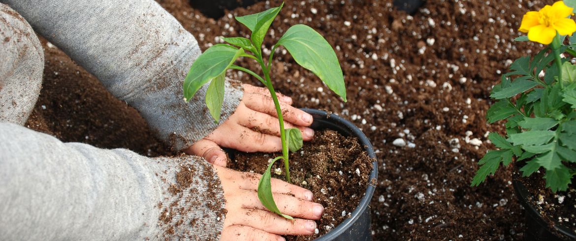 Sette ore di schermo al giorno: il tempo della natura si riduce nell’infanzia italiana