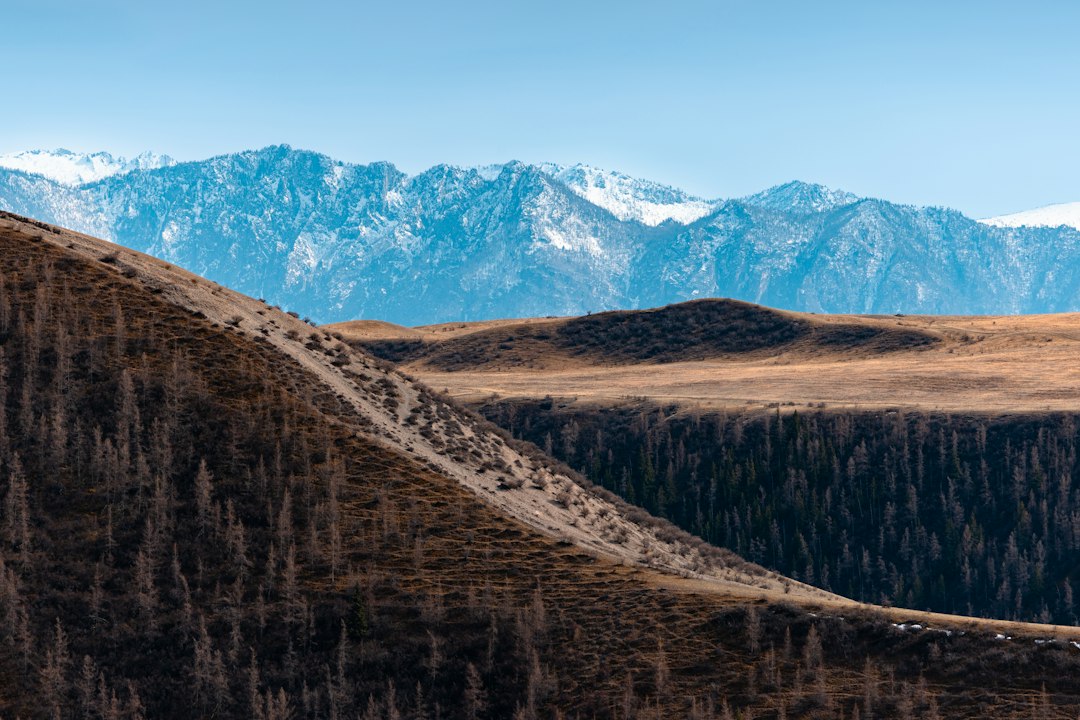 Il metano estivo della Siberia è più che raddoppiato dal 2010