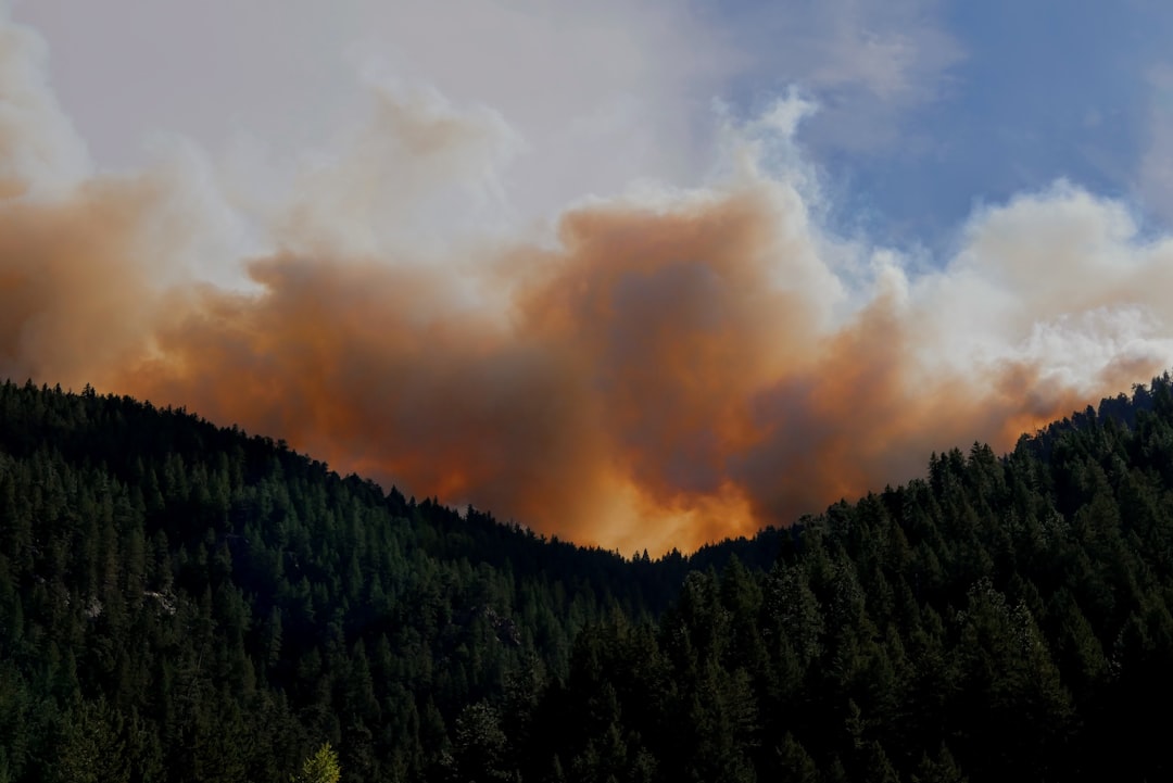 L'UE accelera il piano anti-incendi dopo una stagione già fuori norma