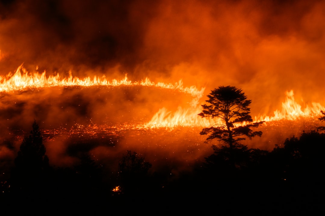 Scommettere sugli incendi: le piattaforme di prediction market preoccupano gli esperti