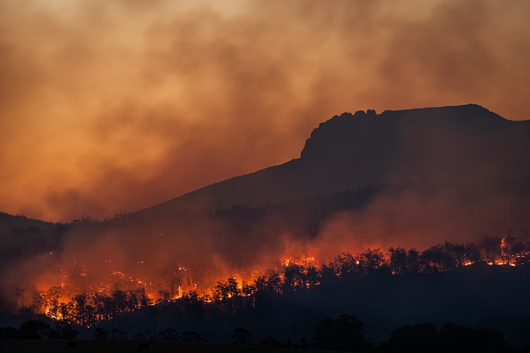 Record di temperatura in arrivo: El Niño accelera il riscaldamento